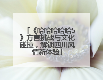 《哈哈哈哈哈5》方言挑战与文化碰撞，解锁四川风情新体验