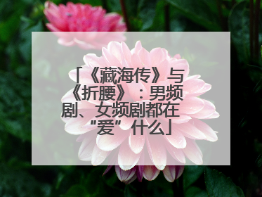 《藏海传》与《折腰》：男频剧、女频剧都在“爱”什么