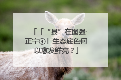 「“县”在图强·正宁③」生态底色何以愈发鲜亮？