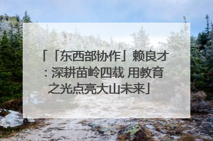 「东西部协作」赖良才：深耕苗岭四载 用教育之光点亮大山未来