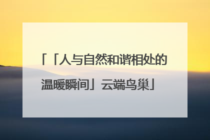 「人与自然和谐相处的温暖瞬间」云端鸟巢