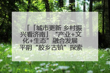 「城市更新 乡村振兴看济南」“产业+文化+生态”融合发展 平阴“胶乡古镇”探索振兴路径成效显著