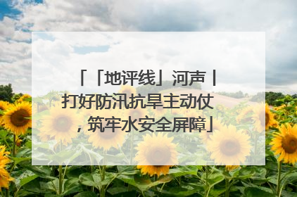 「地评线」河声丨打好防汛抗旱主动仗，筑牢水安全屏障