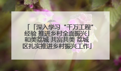 「深入学习“千万工程”经验 推进乡村全面振兴」和美荔城 共富共美 荔城区扎实推进乡村振兴工作
