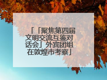 「聚焦第四届文明交流互鉴对话会」外宾团组在敦煌市考察