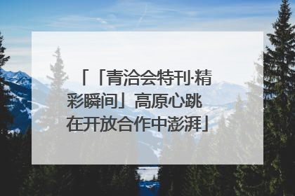 「青洽会特刊·精彩瞬间」高原心跳 在开放合作中澎湃