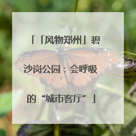 「风物郑州」碧沙岗公园：会呼吸的“城市客厅”