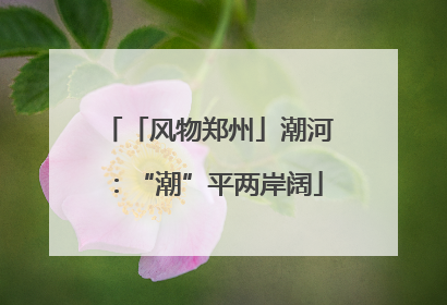 「风物郑州」潮河：“潮”平两岸阔