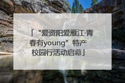 “爱资阳爱雁江·青春有young”特产校园行活动启幕