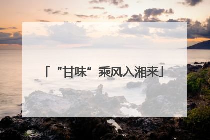 “甘味”乘风入湘来