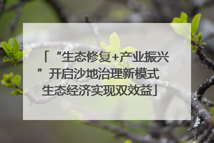 “生态修复+产业振兴”开启沙地治理新模式 生态经济实现双效益