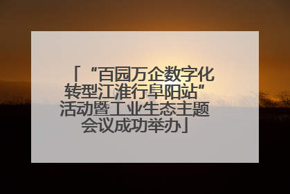 “百园万企数字化转型江淮行阜阳站”活动暨工业生态主题会议成功举办