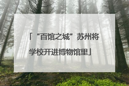 “百馆之城”苏州将学校开进博物馆里