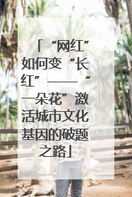 “网红”如何变“长红”——“一朵花”激活城市文化基因的破题之路