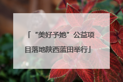 “美好予她”公益项目落地陕西蓝田举行