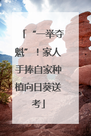 “一举夺魁”！家人手捧自家种植向日葵送考