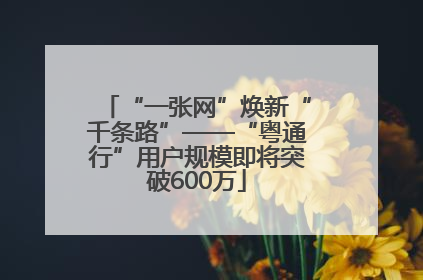 “一张网”焕新“千条路”——“粤通行”用户规模即将突破600万