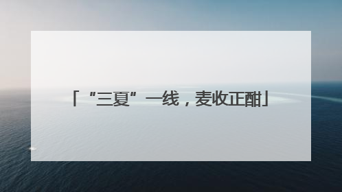 “三夏”一线，麦收正酣
