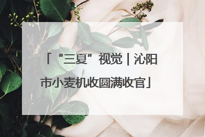 “三夏”视觉｜沁阳市小麦机收圆满收官