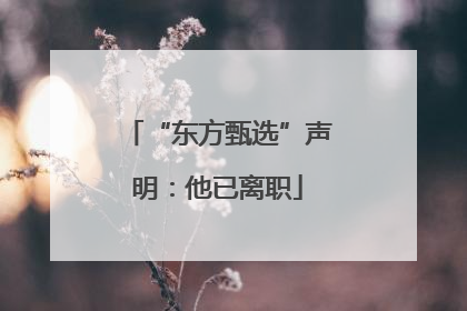“东方甄选”声明：他已离职