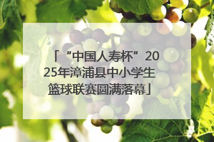 “中国人寿杯”2025年漳浦县中小学生篮球联赛圆满落幕