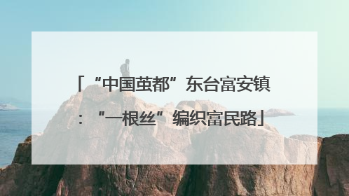 “中国茧都”东台富安镇：“一根丝”编织富民路