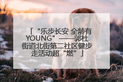 “乐步长安 全龄有YOUNG”——郭杜街道北街第二社区健步走活动超“燃”