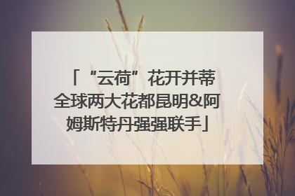 “云荷”花开并蒂 全球两大花都昆明&阿姆斯特丹强强联手