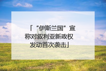 “伊斯兰国”宣称对叙利亚新政权发动首次袭击