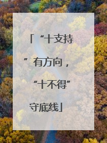 “十支持”有方向，“十不得”守底线