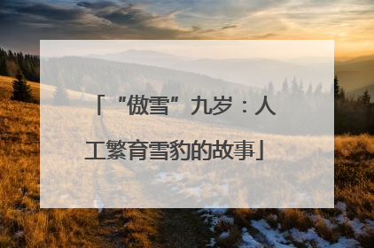 “傲雪”九岁：人工繁育雪豹的故事