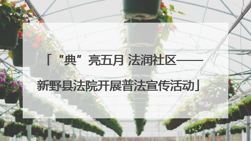 “典”亮五月 法润社区——新野县法院开展普法宣传活动