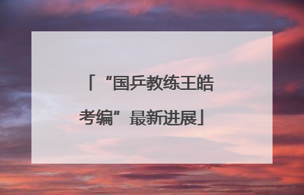 “国乒教练王皓考编”最新进展