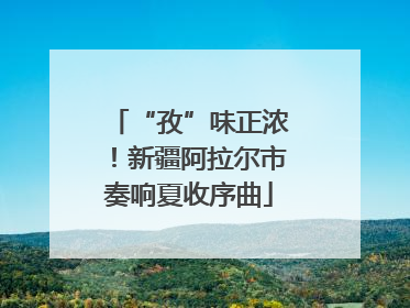 “孜”味正浓！新疆阿拉尔市奏响夏收序曲