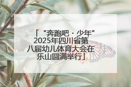 “奔跑吧・少年”2025年四川省第八届幼儿体育大会在乐山圆满举行