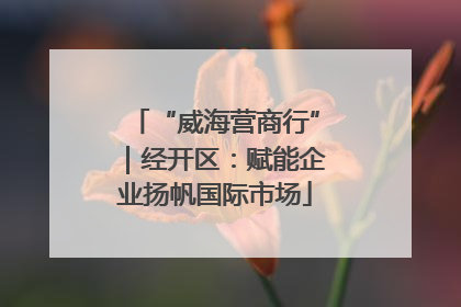 “威海营商行”｜经开区：赋能企业扬帆国际市场