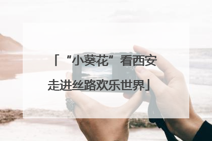 “小葵花”看西安走进丝路欢乐世界