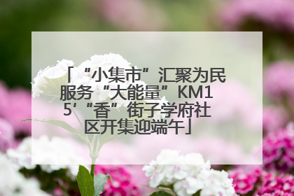 “小集市”汇聚为民服务“大能量”KM15′“香”街子学府社区开集迎端午