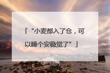 “小麦都入了仓，可以睡个安稳觉了”