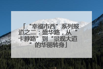“幸福市西”系列报道之二：盛华路，从“卡脖路”到“景观大道”的华丽转身