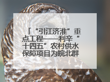 “引江济淮”重点工程——利辛“十四五”农村供水保障项目为皖北群众送来优质“引调水”