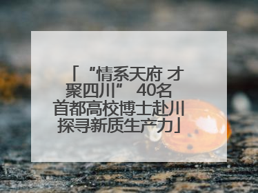 “情系天府 才聚四川” 40名首都高校博士赴川探寻新质生产力