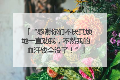 “感谢你们不厌其烦地一直劝我，不然我的血汗钱全没了！”