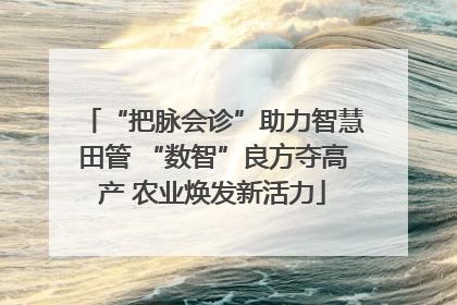 “把脉会诊”助力智慧田管 “数智”良方夺高产 农业焕发新活力