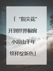 “指尖花”开到世界橱窗 小凉山千年纹样绽新色