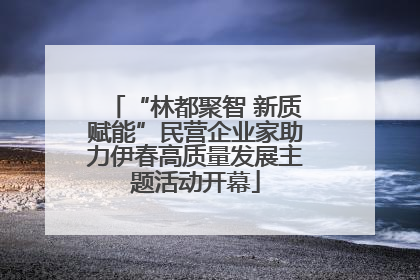 “林都聚智 新质赋能”民营企业家助力伊春高质量发展主题活动开幕