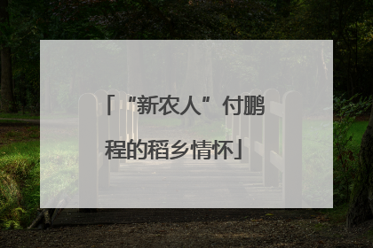 “新农人”付鹏程的稻乡情怀