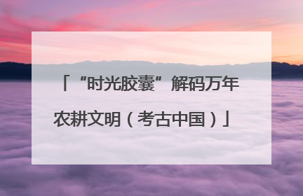 “时光胶囊”解码万年农耕文明（考古中国）
