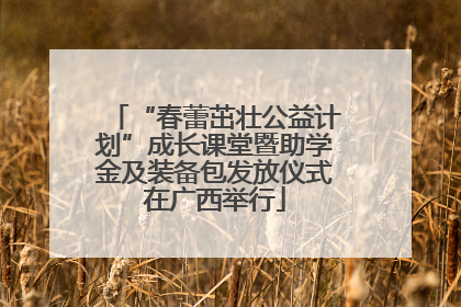 “春蕾茁壮公益计划”成长课堂暨助学金及装备包发放仪式在广西举行