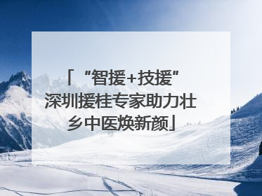 “智援+技援” 深圳援桂专家助力壮乡中医焕新颜